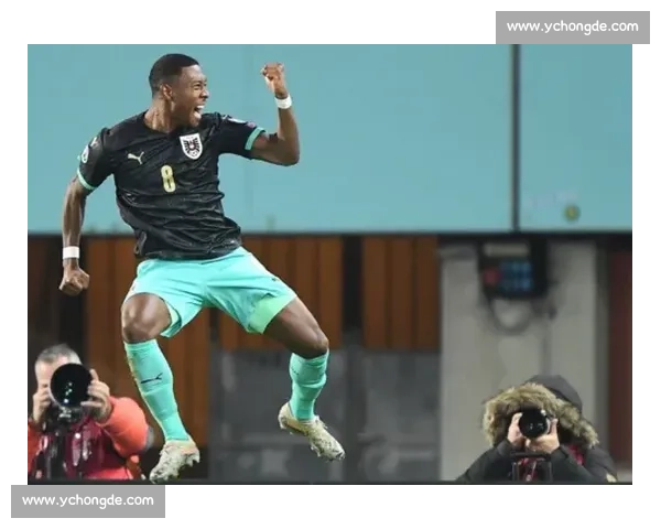 爱尔兰对阵奥地利比赛走势与战术数据深度分析前瞻关键球员表现与胜负预测