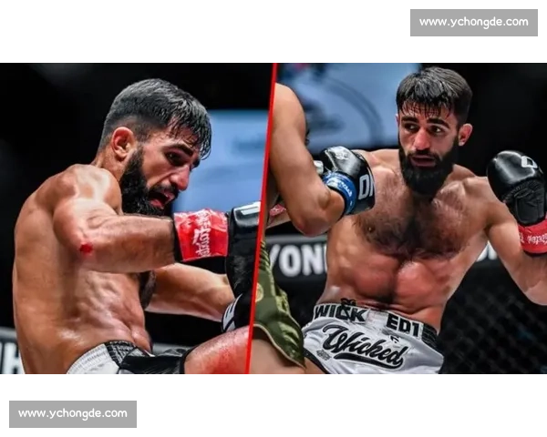 阿拉佐夫vs科尔巅峰对决揭示自由搏击新王之路世界级荣耀未来格局